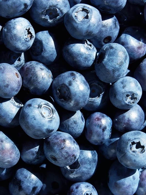 Blauwe bessen