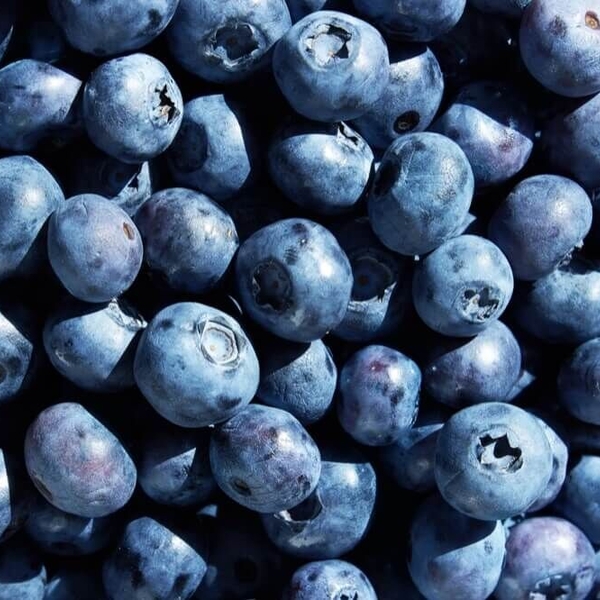 Blauwe bessen