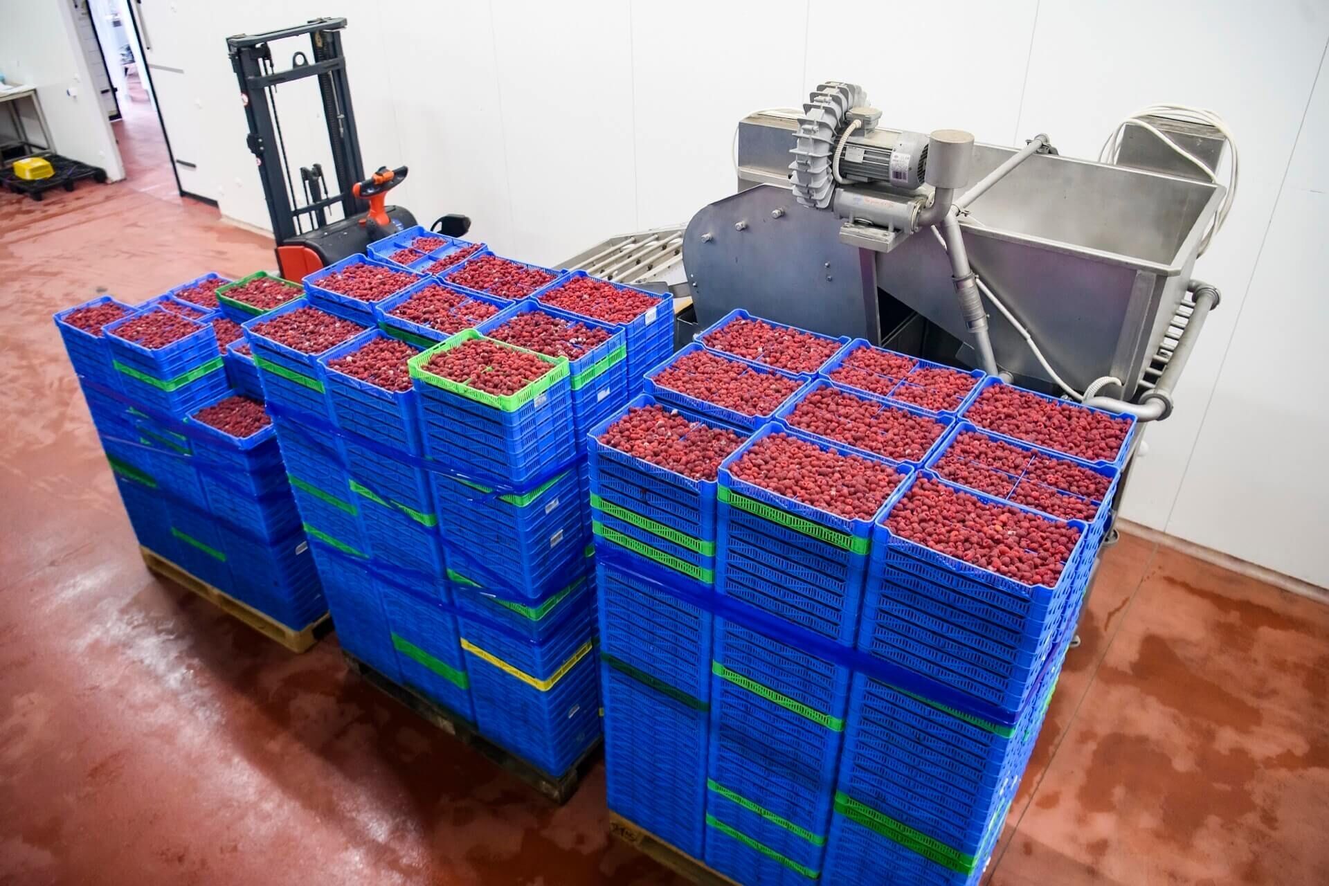 Zacht fruit voor verwerking en distributie